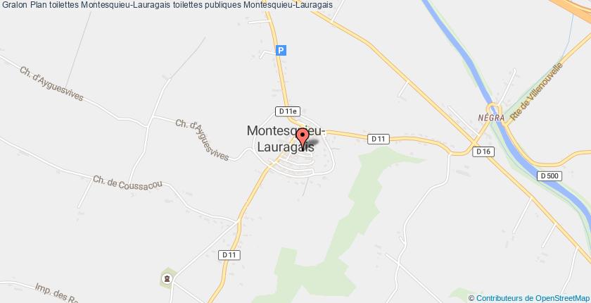 plan toilettes Montesquieu-Lauragais