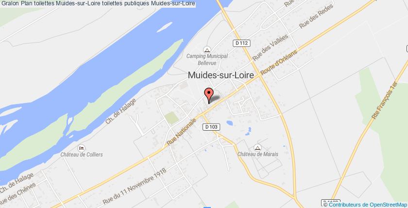 plan toilettes Muides-sur-Loire