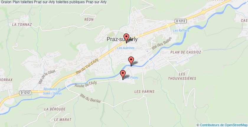 plan toilettes Praz-sur-Arly