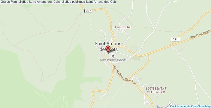 plan toilettes Saint-Amans-des-Cots