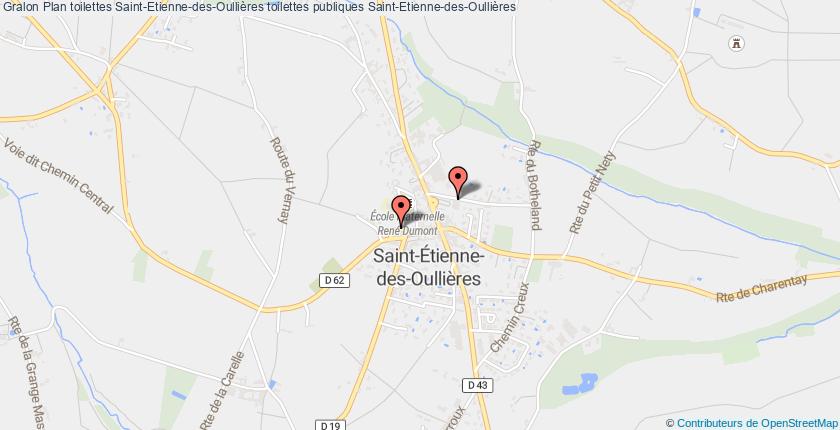 plan toilettes Saint-Etienne-des-Oullières