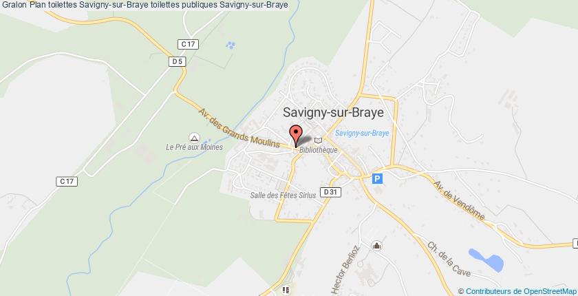 plan toilettes Savigny-sur-Braye