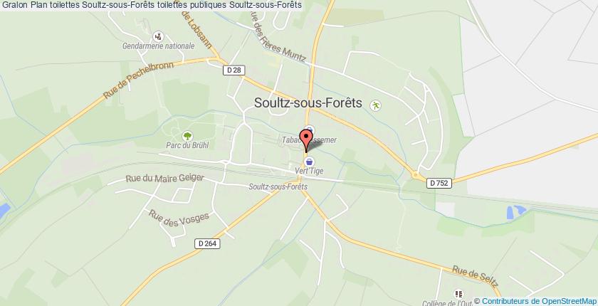 plan toilettes Soultz-sous-Forêts