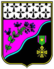 logo Bruz logo Bruz
