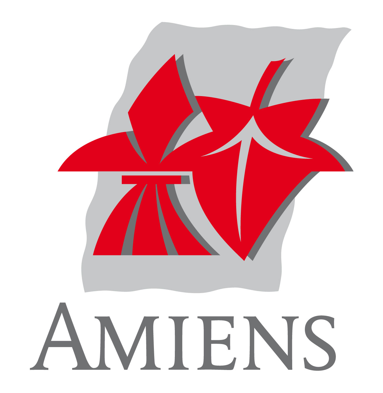 logo Amiens