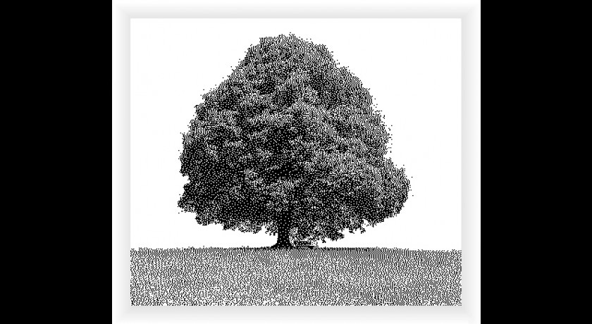 ASSOCIATION DES BIEN-CONTENTS - AB-C