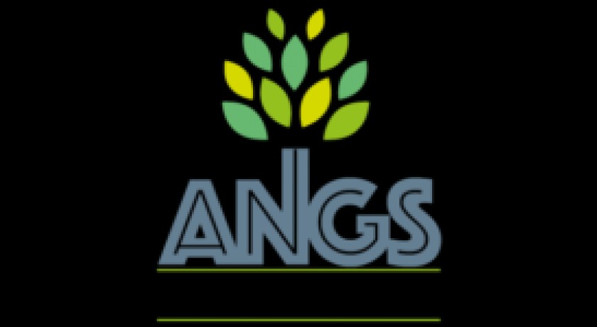 ASSOCIATION NATIONALE DES GENEALOGISTES SUCCESSORAUX A.N.G.S.