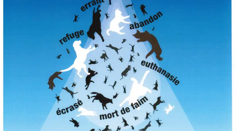 ASSOCIATION POUR LA PROMOTION DE LA STERILISATION DES ANIMAUX DE COMPAGNIE 72