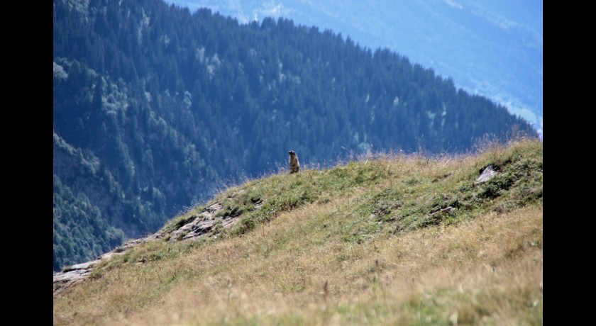 NATURE EXPRESSION ET CREATION