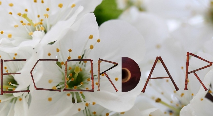 RECORDARA