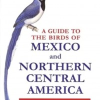 Un guide des oiseaux du Mexique et de l'Amérique centrale du Nord.