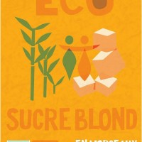 Sucre blond de canne bio et équitable en morceaux - 500 g de pure douceur éthique