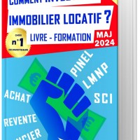Livre Essentiel: Investir en Immobilier Locatif avec Succès et Rentabilité - Guide Complet LMNP, Pinel, SCI