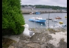 Photo La mouette du Château de Concarneau