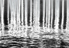 photo Reflets dans l'eau à Santa Barbara