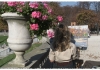 Photo peinture et art floral au jardin du luxembourg