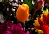 Photo bouquet de fleurs coloré