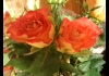 Photo Bouquet de roses