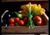 Photo Les légumes du potager