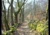 Photo rando VTT , chemin creux