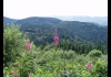 Photo Vue du Puy de Dôme