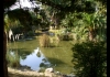 Photo L'étang du Parc Valrose