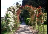 Photo roseraie du jardin du monastère