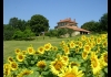 Photo Château de Lahitte Chambre d'hôtes de charme