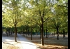 Photo Jardin du Luxembourg