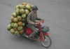 Photo coconut moto