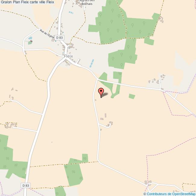 plan Fleix