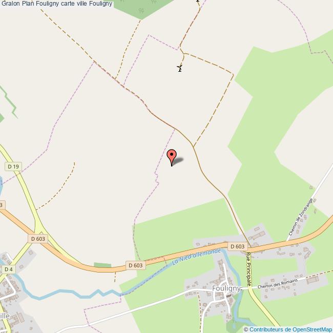 Plan Fouligny carte ville Fouligny