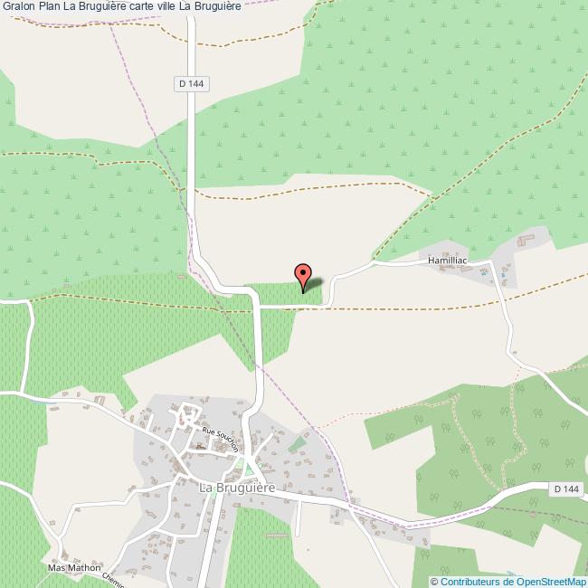 Plan La Bruguière carte ville La Bruguière