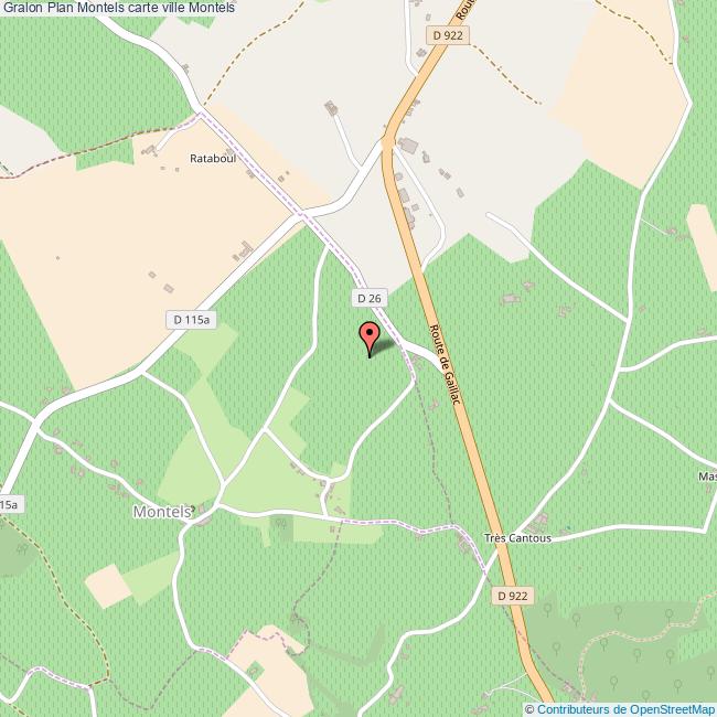 Plan Montels carte ville Montels