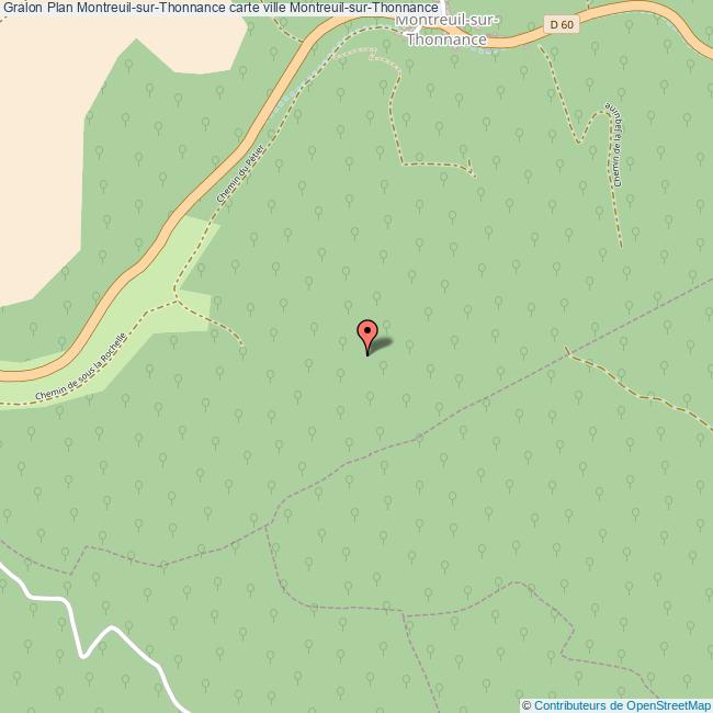 Plan MontreuilsurThonnance carte ville MontreuilsurThonnance