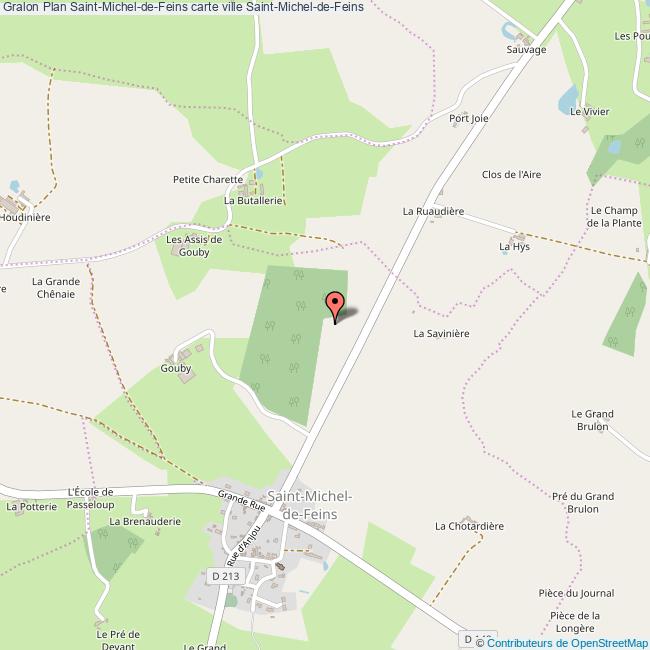 Plan SaintMicheldeFeins carte ville SaintMicheldeFeins