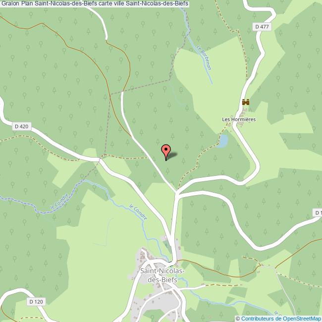 plan Saint-Nicolas-des-Biefs