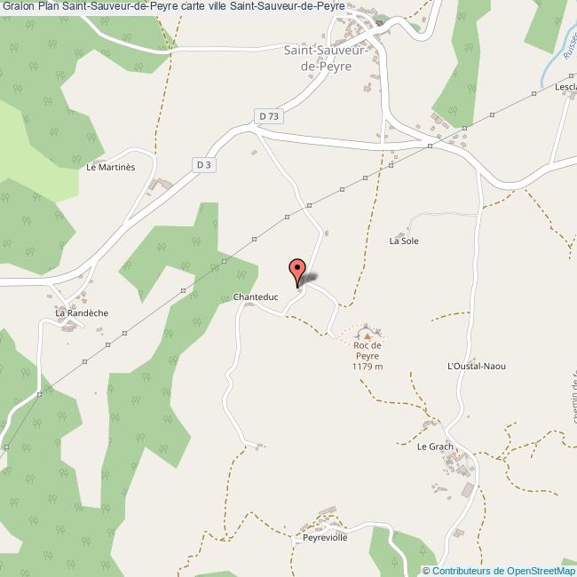 Plan SaintSauveurdePeyre carte ville SaintSauveurdePeyre
