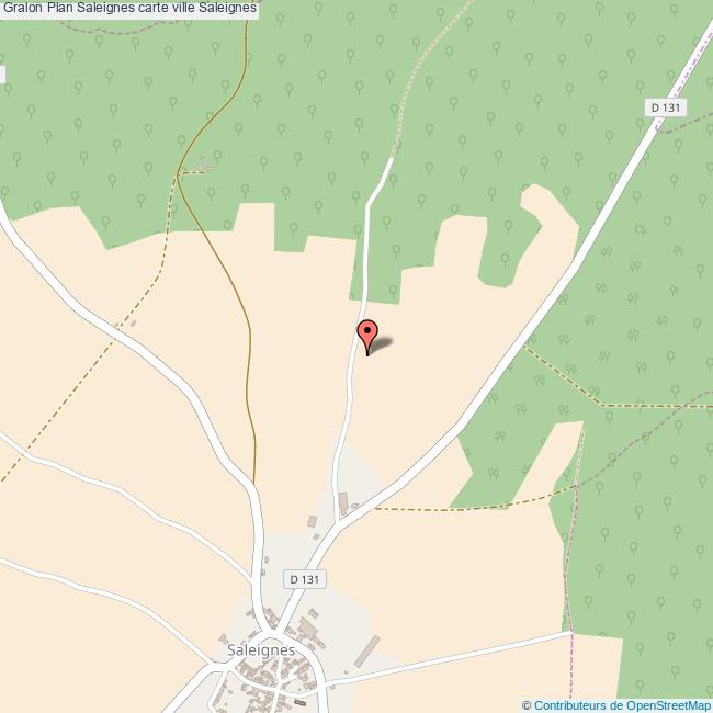 Plan Saleignes carte ville Saleignes