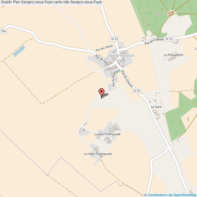 plan Savigny-sous-Faye