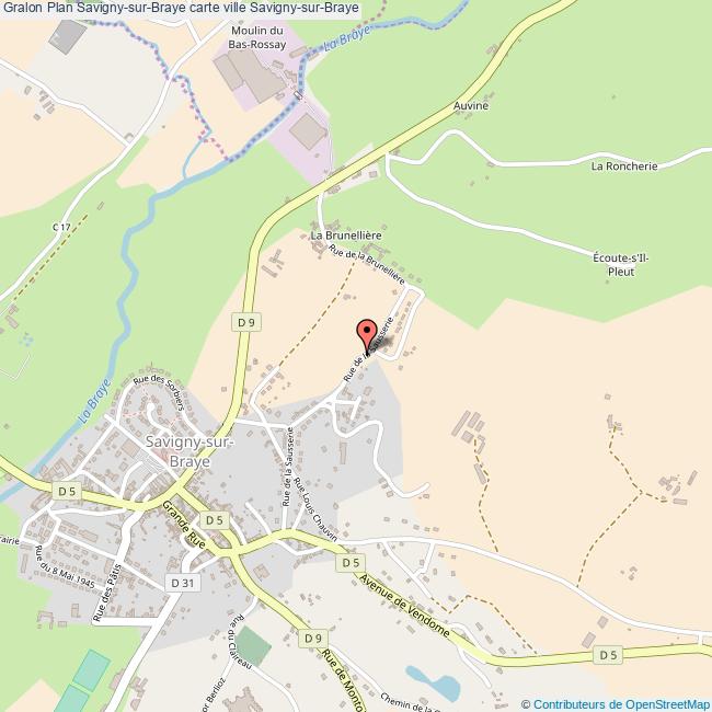 Plan SavignysurBraye carte ville SavignysurBraye