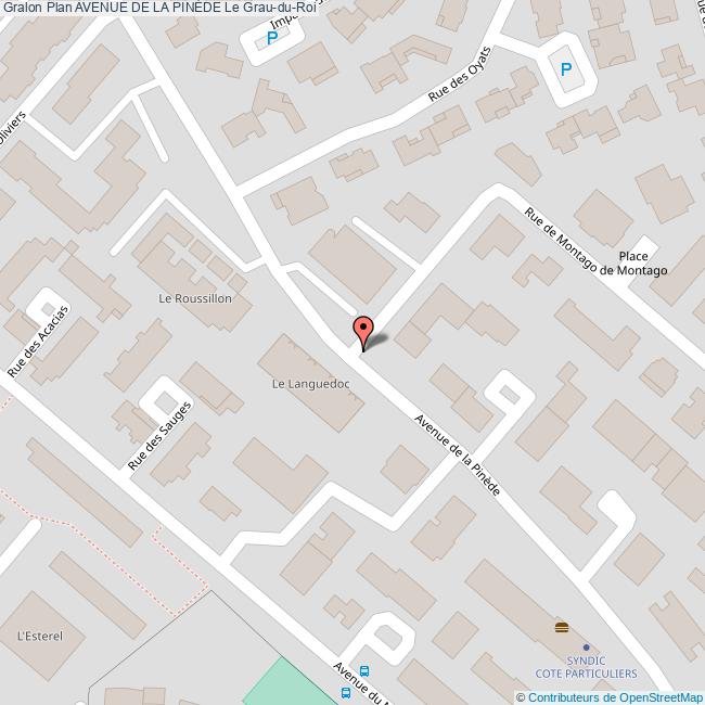 Avenue de la PINÈDE Le GrauduRoi