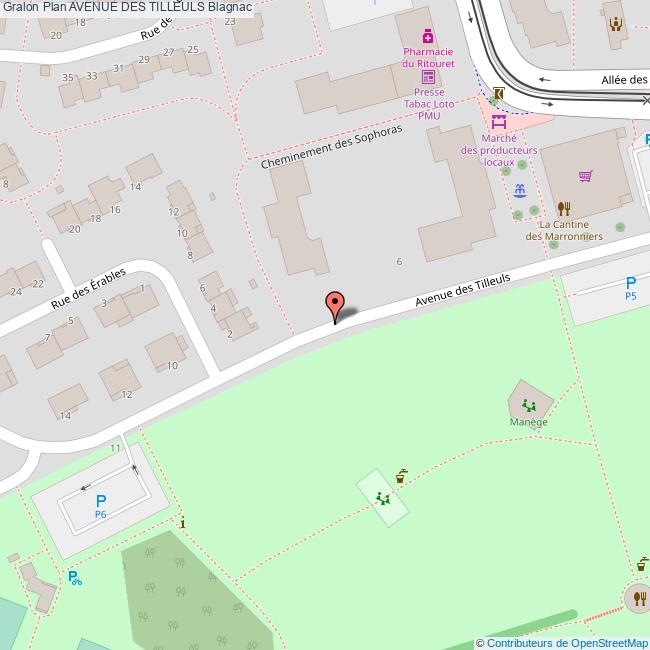 Avenue des TILLEULS Blagnac