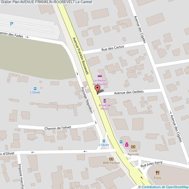 Avenue FRANKLIN ROOSEVELT Le Cannet