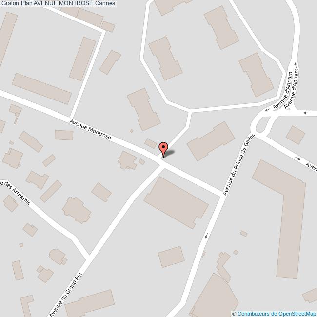 plan Avenue  MONTROSE