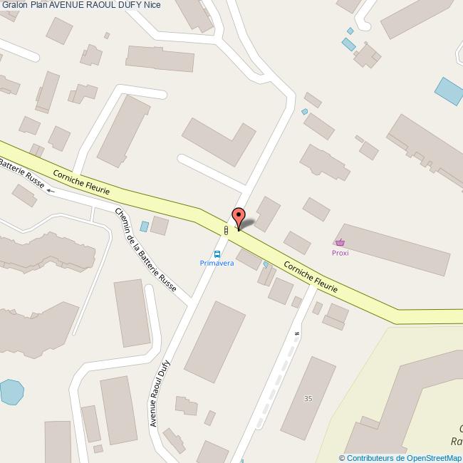 Avenue RAOUL DUFY Nice