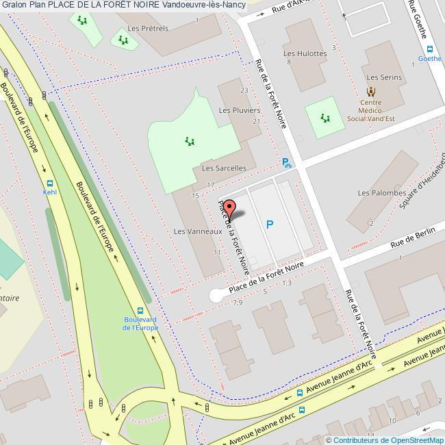 Foret Noire de Nancy