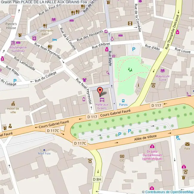 plan Place de la  HALLE AUX GRAINS