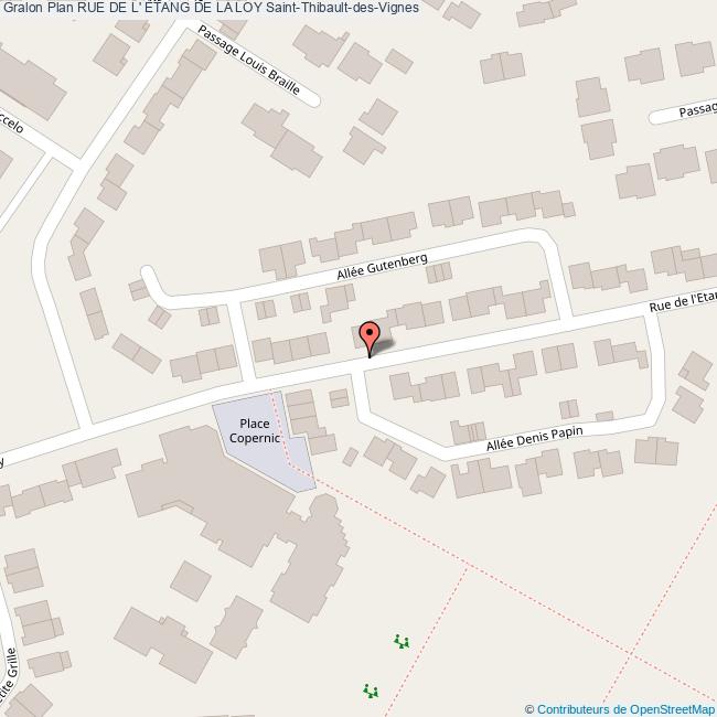 Rue de l' ÉTANG DE LA LOY SaintThibaultdesVignes