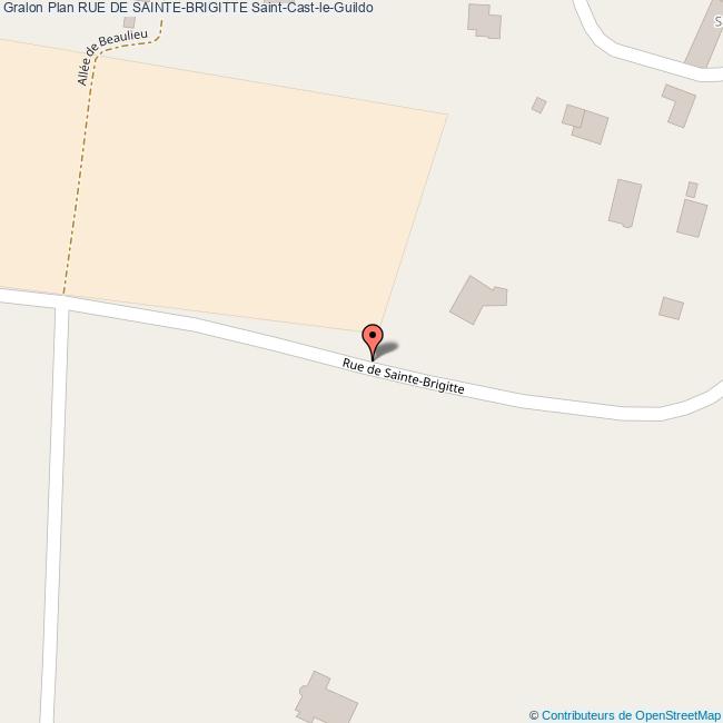 Rue de SAINTEBRIGITTE SaintCastleGuildo